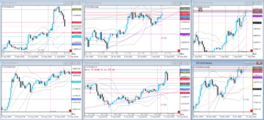 ストーリーを追う（2025年11月24日コンサル）